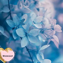 Load image into Gallery viewer, Midnight Body Oil