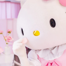 Load image into Gallery viewer, Hello Kitty Sponge Set

